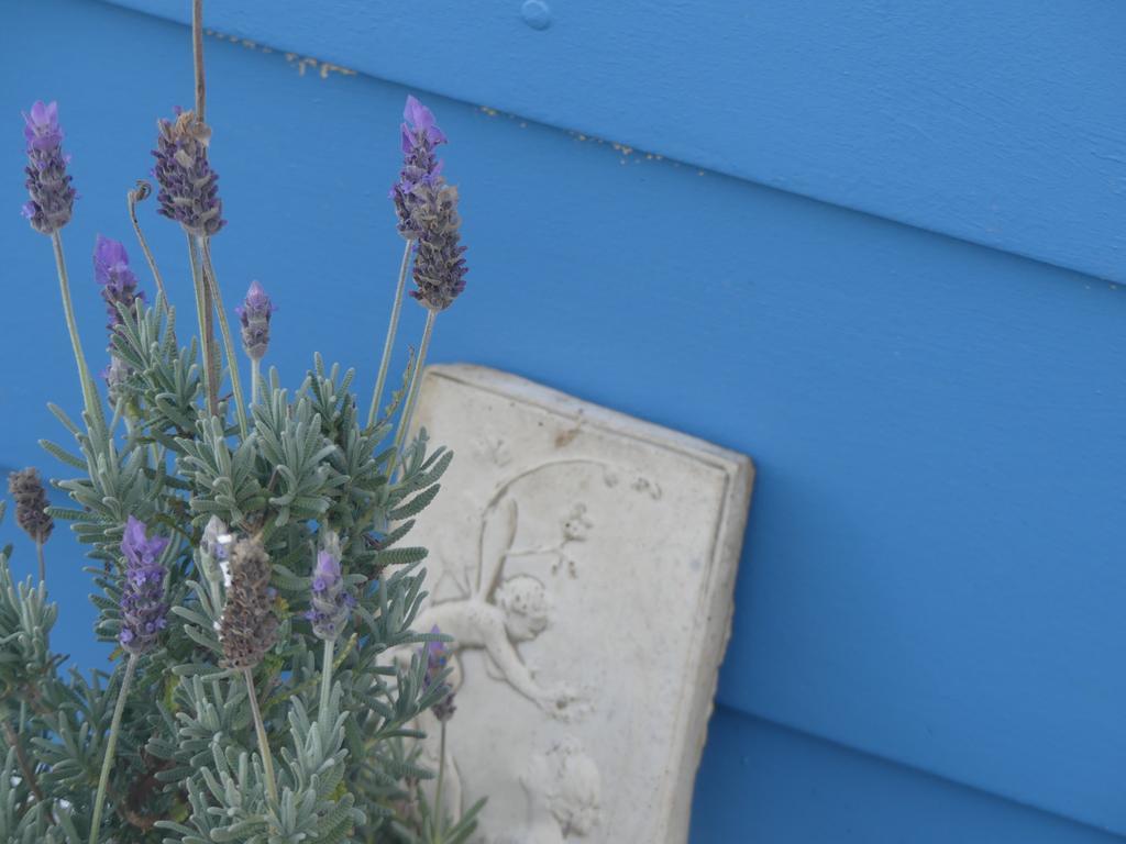 Ki Dragonfly Guesthouse Kingscote Eksteriør billede